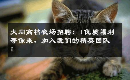 大同高档夜场招聘：+优质福利等你来，加入我们的精英团队！