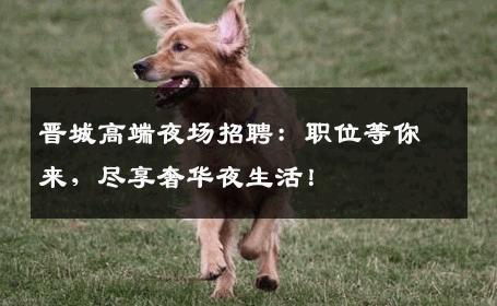 晋城高端夜场招聘：职位等你来，尽享奢华夜生活！