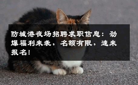 防城港夜场招聘求职信息：劲爆福利来袭，名额有限，速来报名！