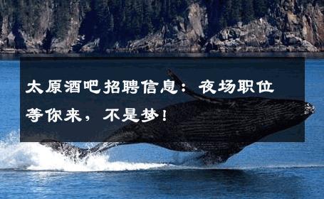 太原酒吧招聘信息：夜场职位等你来，不是梦！