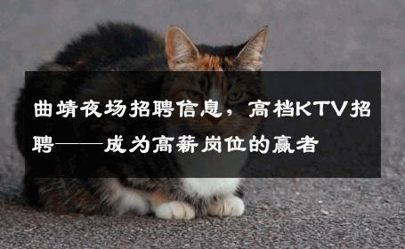 曲靖夜场招聘信息，高档KTV招聘——成为高薪岗位的赢者