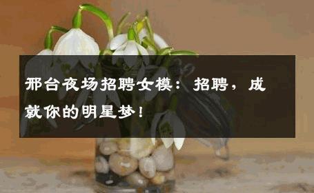 邢台夜场招聘女模：招聘，成就你的明星梦！