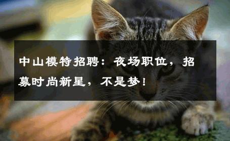 中山模特招聘：夜场职位，招募时尚新星，不是梦！