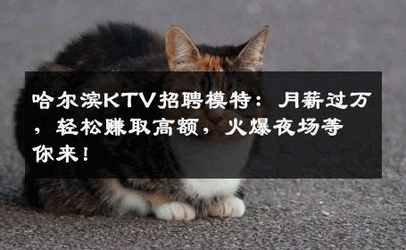 哈尔滨KTV招聘模特：月薪过万，轻松赚取高额，火爆夜场等你来！