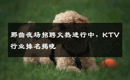 那曲夜场招聘火热进行中，KTV行业排名揭晓