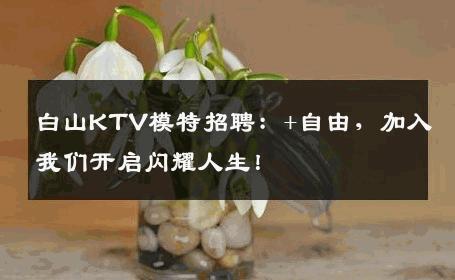 白山KTV模特招聘：+自由，加入我们开启闪耀人生！