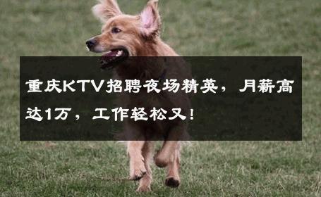 重庆KTV招聘夜场精英，月薪高达1万，工作轻松又！