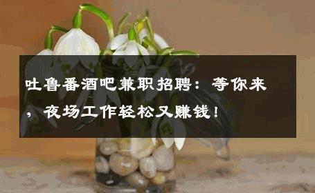 吐鲁番酒吧兼职招聘：等你来，夜场工作轻松又赚钱！