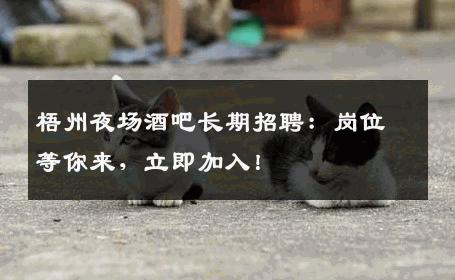 梧州夜场酒吧长期招聘：岗位等你来，立即加入！