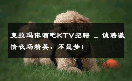 克拉玛依酒吧KTV招聘 _ 诚聘激情夜场精英，不是梦！