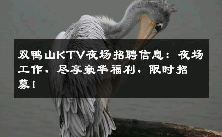 双鸭山KTV夜场招聘信息：夜场工作，尽享豪华福利，限时招募！