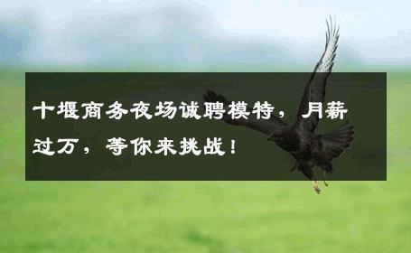 十堰商务夜场诚聘模特，月薪过万，等你来挑战！