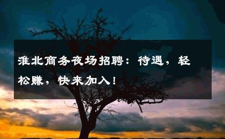 淮北商务夜场招聘：待遇，轻松赚，快来加入！