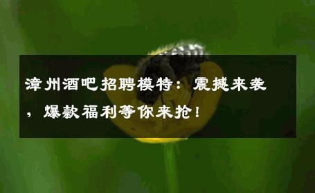漳州酒吧招聘模特：震撼来袭，爆款福利等你来抢！