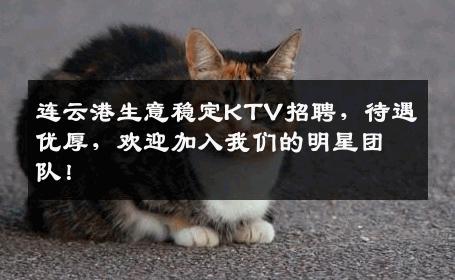 连云港生意稳定KTV招聘，待遇优厚，欢迎加入我们的明星团队！