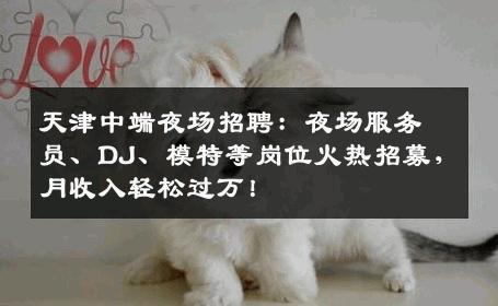 天津中端夜场招聘：夜场服务员、DJ、模特等岗位火热招募，月收入轻松过万！