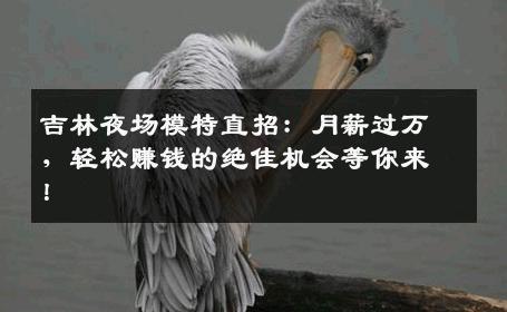 吉林夜场模特直招：月薪过万，轻松赚钱的绝佳机会等你来！