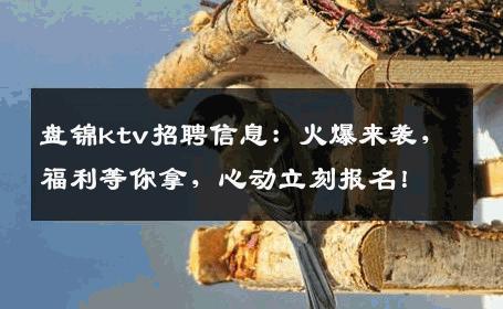 盘锦ktv招聘信息：火爆来袭，福利等你拿，心动立刻报名！