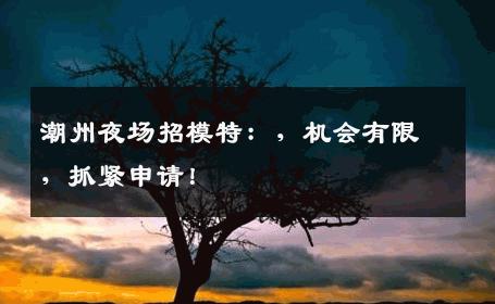 潮州夜场招模特：，机会有限，抓紧申请！