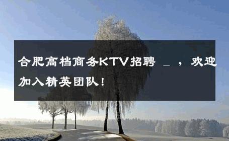 合肥高档商务KTV招聘 _ ，欢迎加入精英团队！