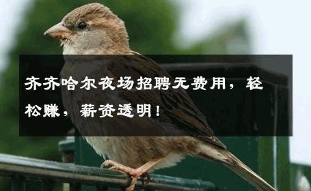 齐齐哈尔夜场招聘无费用，轻松赚，薪资透明！