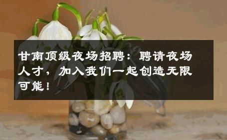 甘南顶级夜场招聘：聘请夜场人才，加入我们一起创造无限可能！