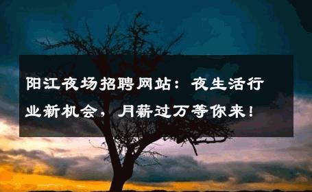 阳江夜场招聘网站：夜生活行业新机会，月薪过万等你来！
