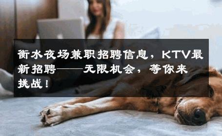 衡水夜场兼职招聘信息，KTV最新招聘——无限机会，等你来挑战！