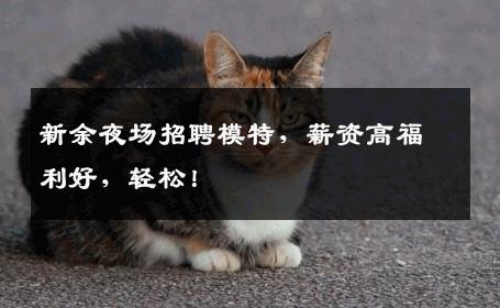 新余夜场招聘模特，薪资高福利好，轻松！
