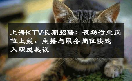上海KTV长期招聘：夜场行业岗位上线，主播与服务岗位快速入职成热议