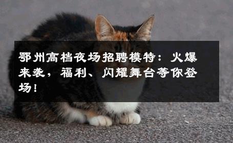 鄂州高档夜场招聘模特：火爆来袭，福利、闪耀舞台等你登场！