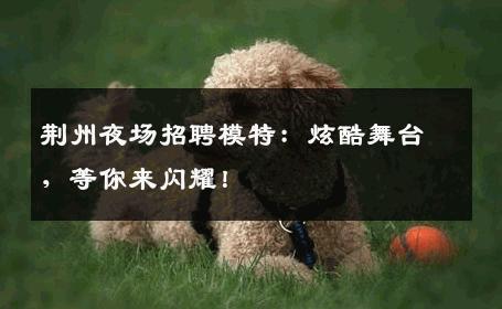 荆州夜场招聘模特：炫酷舞台，等你来闪耀！