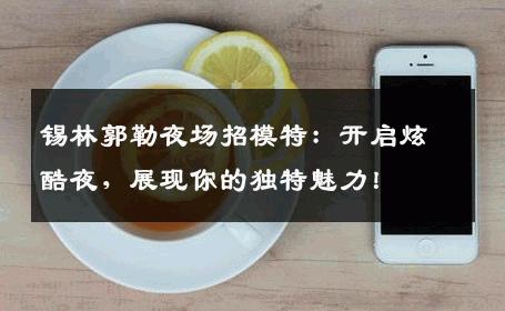 锡林郭勒夜场招模特：开启炫酷夜，展现你的独特魅力！