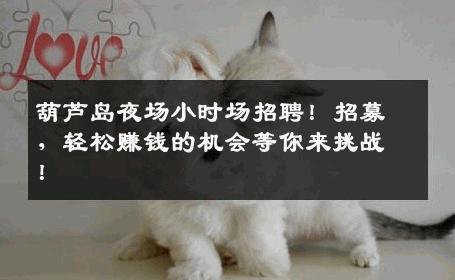 葫芦岛夜场小时场招聘！招募，轻松赚钱的机会等你来挑战！