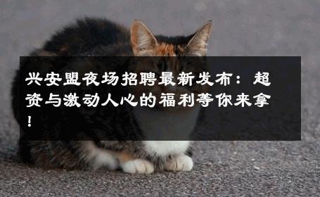 兴安盟夜场招聘最新发布：超资与激动人心的福利等你来拿！
