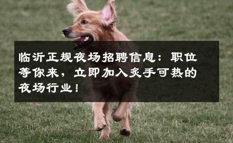 临沂正规夜场招聘信息：职位等你来，立即加入炙手可热的夜场行业！