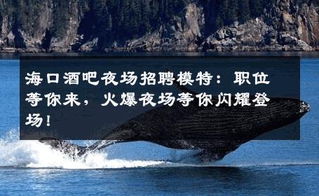 海口酒吧夜场招聘模特：职位等你来，火爆夜场等你闪耀登场！
