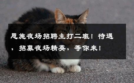 恩施夜场招聘主打二班！待遇，招募夜场精英，等你来！