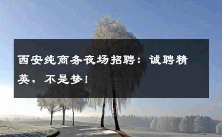 西安纯商务夜场招聘：诚聘精英，不是梦！