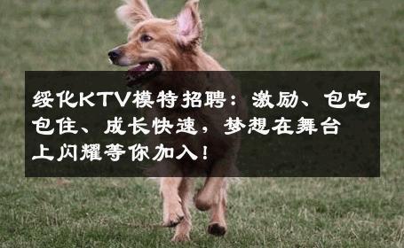 绥化KTV模特招聘：激励、包吃包住、成长快速，梦想在舞台上闪耀等你加入！