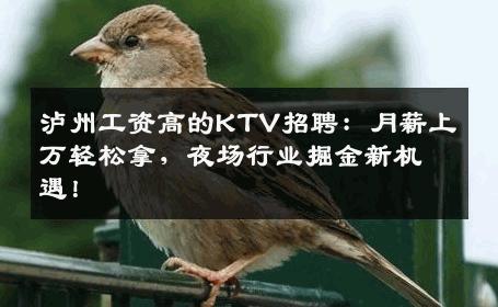泸州工资高的KTV招聘：月薪上万轻松拿，夜场行业掘金新机遇！