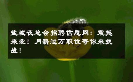 盐城夜总会招聘信息网：震撼来袭！月薪过万职位等你来挑战！