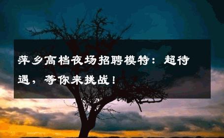 萍乡高档夜场招聘模特：超待遇，等你来挑战！