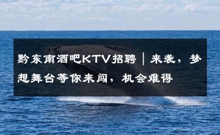 黔东南酒吧KTV招聘｜来袭，梦想舞台等你来闯，机会难得