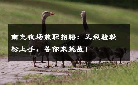 南充夜场兼职招聘：无经验轻松上手，等你来挑战！