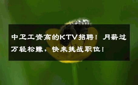 中卫工资高的KTV招聘！月薪过万轻松赚，快来挑战职位！