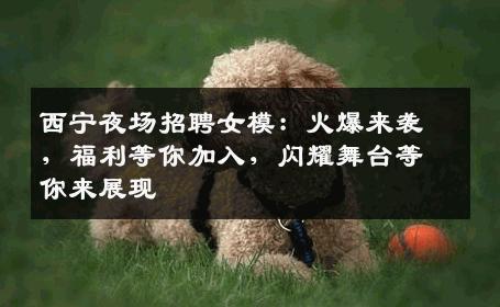 西宁夜场招聘女模：火爆来袭，福利等你加入，闪耀舞台等你来展现