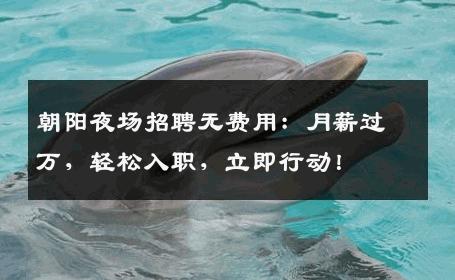 朝阳夜场招聘无费用：月薪过万，轻松入职，立即行动！