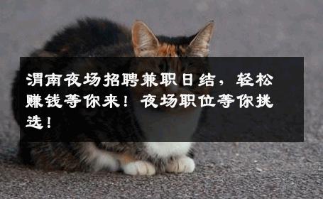 渭南夜场招聘兼职日结，轻松赚钱等你来！夜场职位等你挑选！