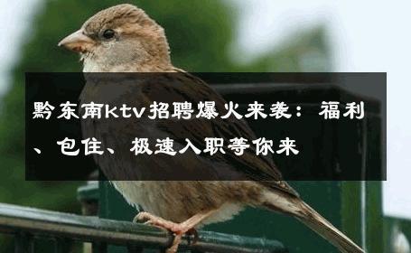 黔东南ktv招聘爆火来袭：福利、包住、极速入职等你来